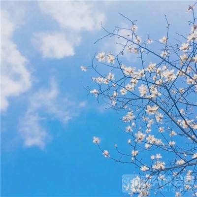 火柴人求生之路手机版下载